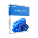 Microsoft Windows 11 Pro, 64-bit, Engleza, Stick USB inlcus