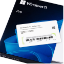 Windows 11 Professional USB Bootabil (FPP)