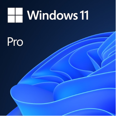 Licenta Microsoft Windows 11 Pro, Toate limbile, 64bit, ESD Licenta Microsoft Windows 11 Pro, Toate limbile, 64bit, ESD