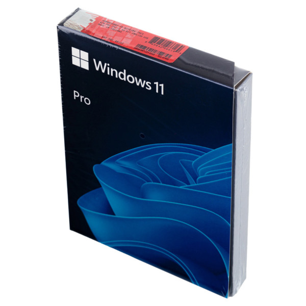 Windows 11 Professional USB Bootabil (FPP)